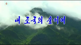 北朝鮮 「私の祖国の森よ (내 조국의 숲이여)」 KCTV 2020/11/02 日本語字幕付き