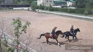 Показательное выступление КСК "ЭСКАДРОН"