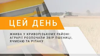 Жнива у Криворізькому районі: аграрії розпочали збір пшениці, ячменю та ріпаку