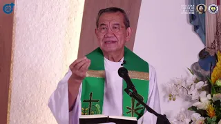 10:15 AM  Holy Mass with Fr Jerry Orbos SVD - November 7 2021 32nd Sunday in Ordinary Time