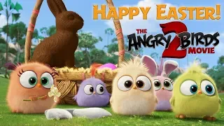 Angry Birds Movie 2 - Happy Easter from the Hatchlings