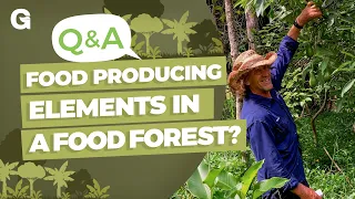 Putting Food-Producing Elements in All Layers of the Food Forest?