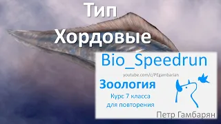 15. Хордовые (Speedrun зоология 7 класс, ЕГЭ, ОГЭ 2021)