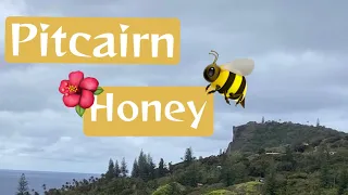 Pitcairn Island: Pitcairn Honey 🐝