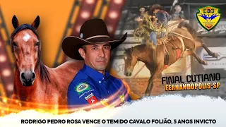 🔴 (FINAL EM CUTIANO) Rodeio de FERNANDÓPOLIS-SP 2023 | SBC