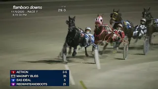 NOV 5,2020-RACE 7-FLAMBORO DOWNS