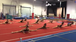 Gymcats don't stop til you get enough! Stretch