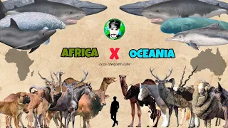 AFRICAN VS OCEANIA - Animals size comparison.