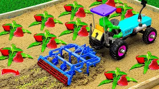 Diy tractor making most modern plough plant strawberry field | diy mini harvest truck | @SunFarming