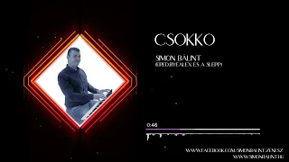 CSOKKO - SIMON BÁLINT (ERED.:BYEALEX ÉS A SLEPP)