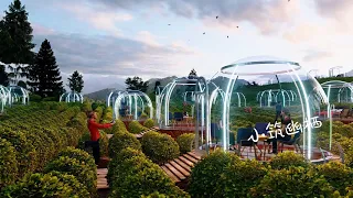 The applications of 360D Clear Bubble Dome Tent - Lucidomes