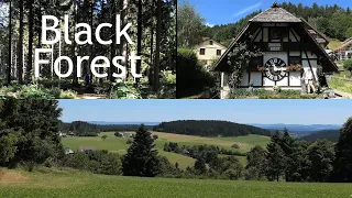 GERMANY: Black Forest, sights & scenery 4K