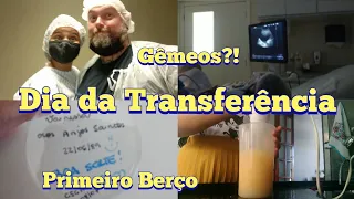 DIA DA TRANSFERÊNCIA DOS EMBRIÕES| BLASTOCISTO D5| DIÁRIO DA FIV #05