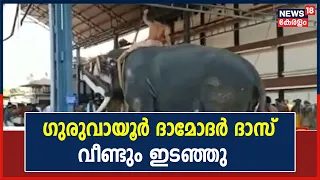 Guruvayoor ക്ഷേത്ര നടയിൽ വീണ്ടും 'ദാമോദർ ദാസ്' Elephant ഇടഞ്ഞു | Kerala News Today