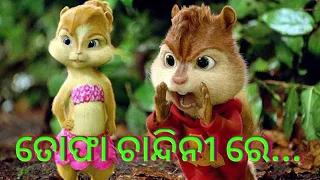 Tofa chandini re odia song. cartoon  song.by black bear entertainment