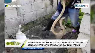 One North Central Luzon: 27-anyos na lalaki, patay sa tuklaw ng cobra