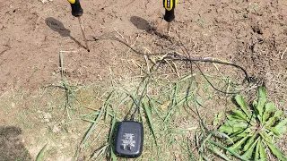 Collecting Worms with Electricity