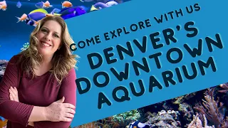 Virtual Field Trip | Virtual Aquarium Visit | Downtown Aquarium Denver, Colorado