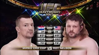 Mirko Cro Cop vs Roy Nelson