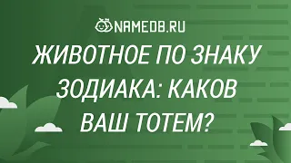 Животное по Знаку Зодиака: Каков ваш тотем?