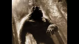 👥 Sasquatch 👉 Légende et Science 🔹 Cryptozoologie