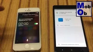 Обзор Siri vs Google Now