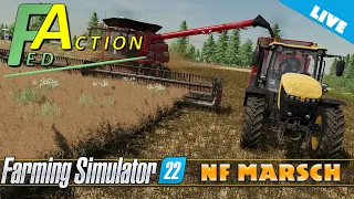 ПОСЛЕДНЯЯ УБОРОЧНАЯ. FS22. NF Marsch.