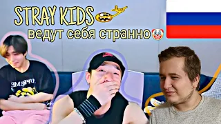 Реакция на Stray Kids ведут себя странно | RUS CRACK | STRAY KIDS FUNNY MOMENTS