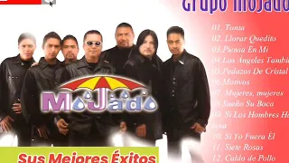 Los Mejores éxitos del Grupo Mojado _Mix