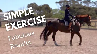 How To School A Horse - The Easiest Exercise Ever