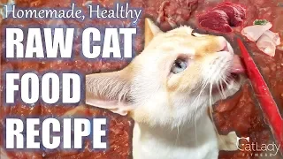 How to Make RAW CAT FOOD (Chicken & Beef Version) - Homemade Recipe / Cat Lady Fitness