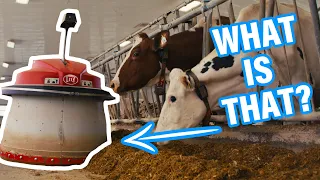 Dairy Farm: A Tour Of A Traditional Dairy Farm
