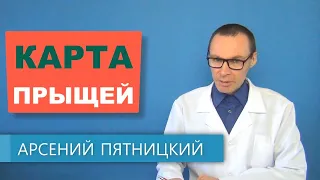 Карта прыщей - расшифровка расположения угрей на коже