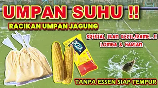 RACIKAN UMPAN IKAN MAS JAGUNG AMIS PREMIUM !! IKAN RAME LAHAP✅Tanpa essen oke banget❗❗