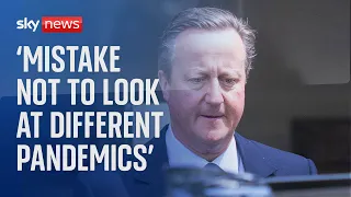 COVID Inquiry: David Cameron said it was a 'mistake' not to look at different pandemic types