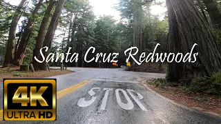 Relaxing POV motorcycle ride through the Santa Cruz mountains.  Coastal Redwoods in 4K (with music).