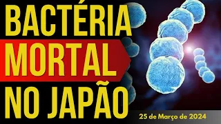 BACTÉRIA MORTAL ALERTA O JAPÃO - 25/MARÇO/2024