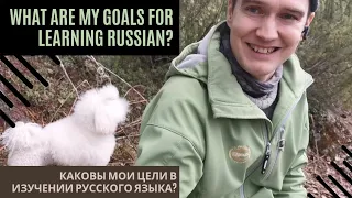 Goals for language learning after 6 months of Russian