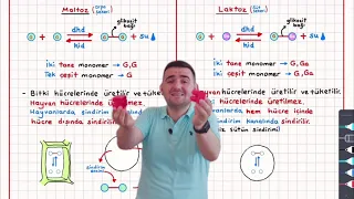 3-CTB Karbonhidratlar Konu Anlatımı 9.sınıf biyoloji Tyt Biyoloji Konu anlatımı Yks 2023