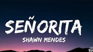 Shawn Mendes & Camila Cabello - Señorita (Lyrics)