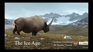 Lecture 29: The Ice Age (April 23)