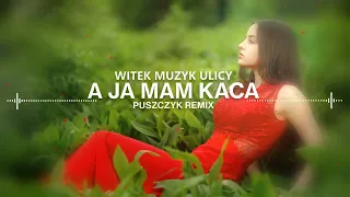 Witek Muzyk Ulicy - A Ja Mam Kaca (Puszczyk Remix)