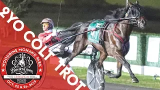 2019 Breeders Crown - Amigo Volo - 2CT