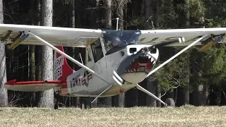 Cessna L-19 Bird Dog takeoff at Airfield Rostock | N33455