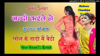 new Mewati song Sahin Chanchal Ki Awaz mai Naseer Shayar ki Dillagi