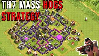 TH7 MASS HOGS ATTACK STRATEGY | HOGS ARE OPS AT TH7?? | CLASH OF CLANS