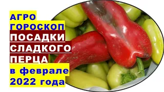 Агрогороскоп посадки сладкого перца в феврале 2022 года