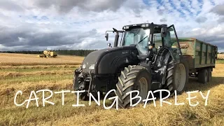 Carting Barley - GoPor HD