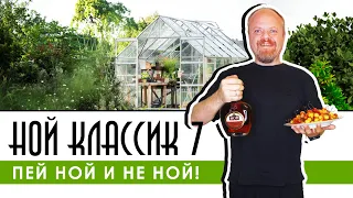 Армянский коньяк Ной Классик 7 лет. Дешевый, вкусный коньяк, который не подорожал. Пей Ной и не ной!