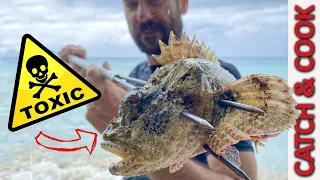 Spearfishing for VENOMOUS Scorpion Fish - Catch Clean Cook